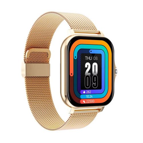 HryFine Y13 Smartwatch - Colore oro, cinturino in metallo - Durata della batteria di 5 giorni, IP67, chiamate Bluetooth, messaggi, salute