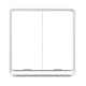 RSH ESW-2WAA-EU WiFi - SMART, interruttore di illuminazione a pulsante meccanico da parete, con 2 interruttore - App Tuya
